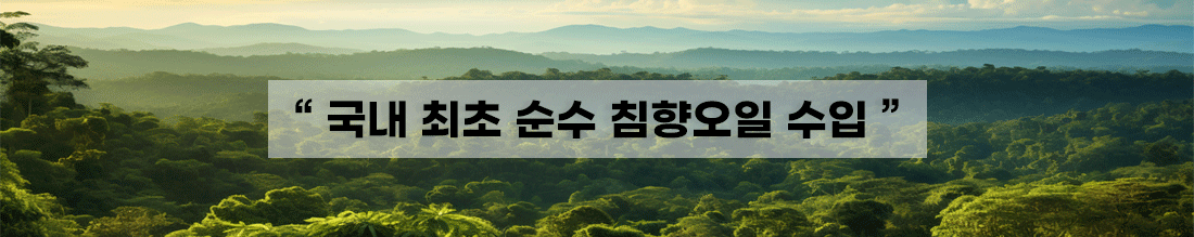침향오일최초수입